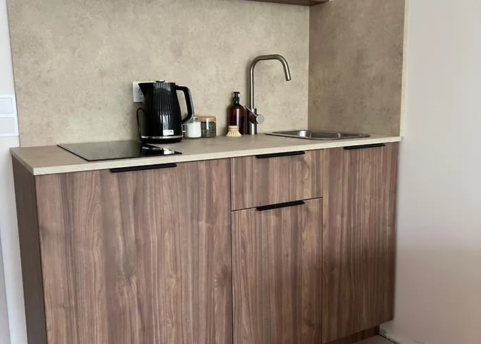 Apartamentai-studija Palangos Kopos * פלאנגה